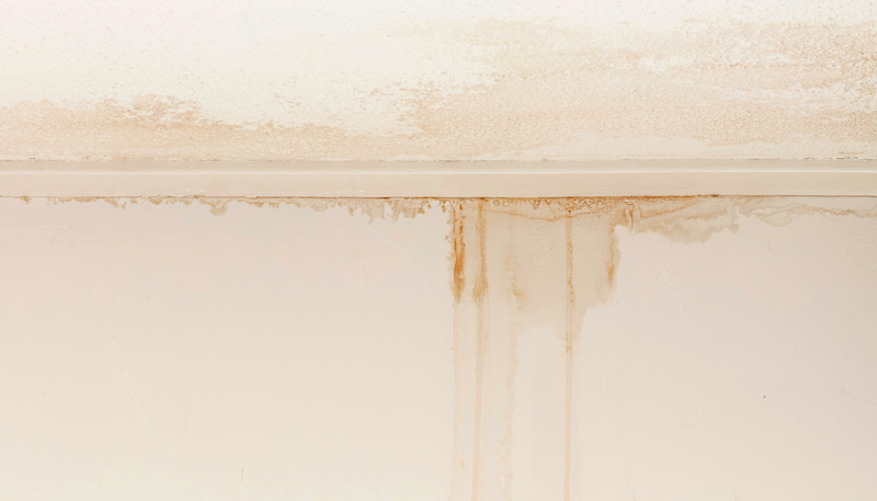 雨漏りの跡を消したい 自分でできる天井 壁のシミ取り 塗装方法 Sumical