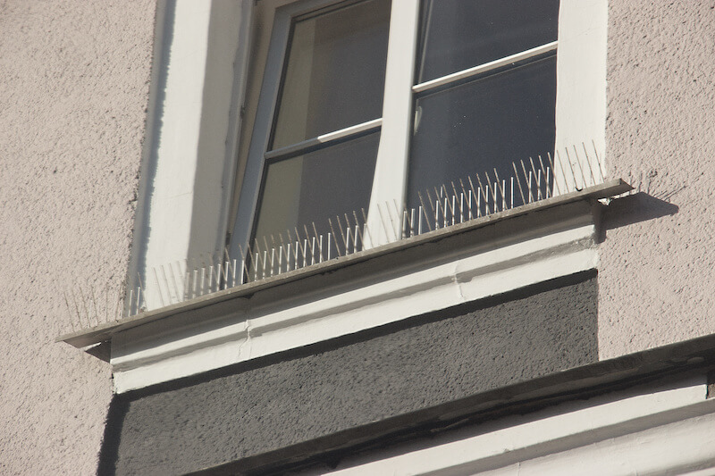 窓枠に設置された鳩よけのスパイク